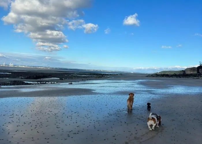 Maison De Pêcheur Petite Vue Centre Village Villerville